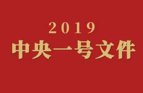 中央一号文件多维度全面解读 带你读懂新政策