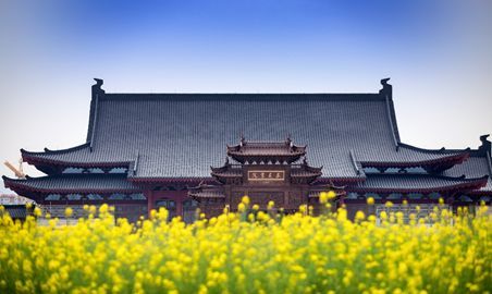 浙江大学以“四大工程”为抓手扎实推进美育工作