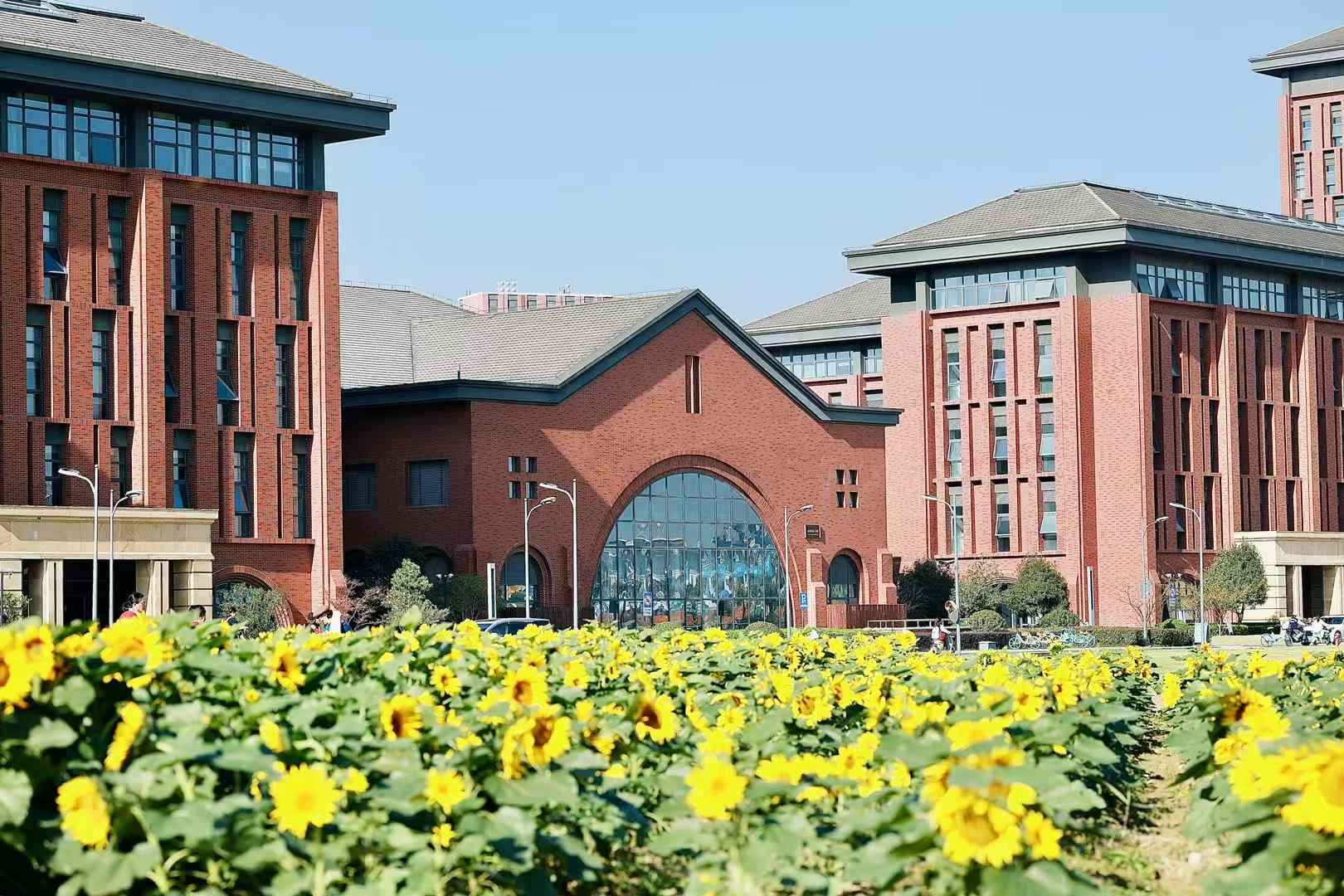 2025年ABC中国大学排名发布！浙大并列第3